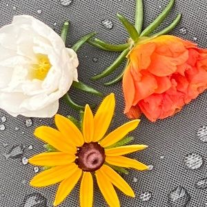 Meet your Posher, Soheila